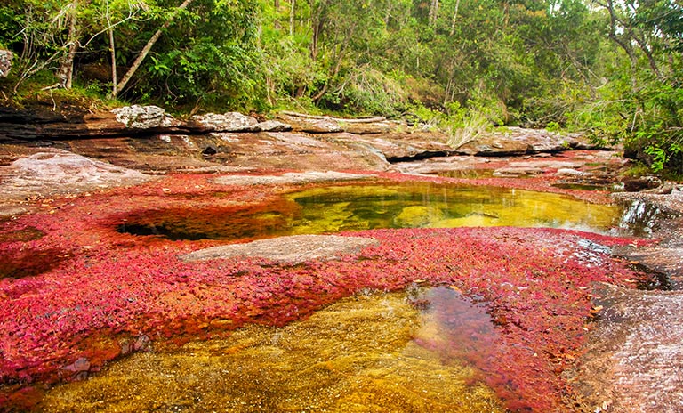 caño cristales sitios turísticos de Colombia