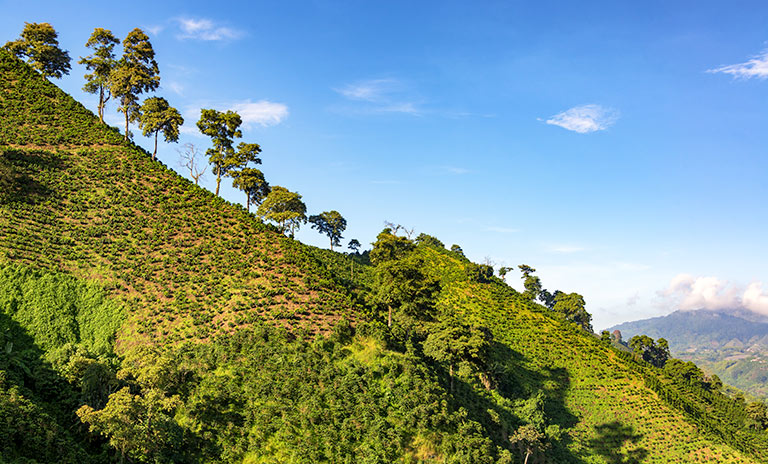 el campo colombiano espera ser recorrido