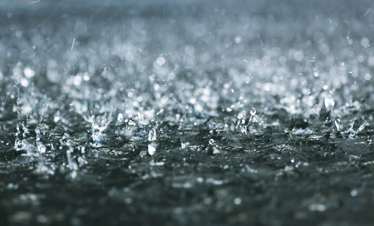 camionetas bajo la lluvia