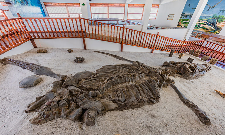 museo paleontológico de villa de leyva