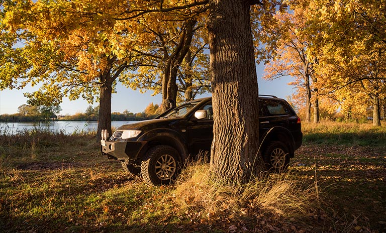 mitsubishi motors pajero posando en medio de un bosque