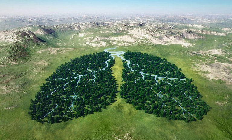 arboles en forma de pulmones celebran el día internacional de la tierra