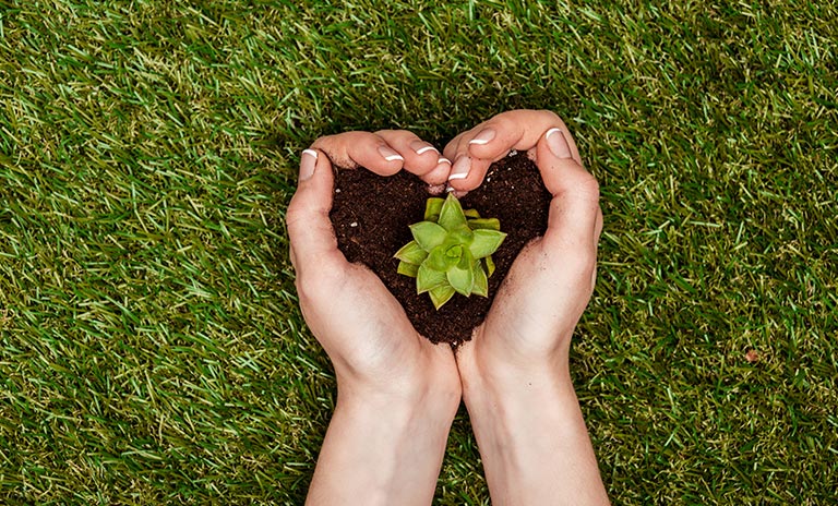 sembrando una planta en el Día Internacional de la Tierra