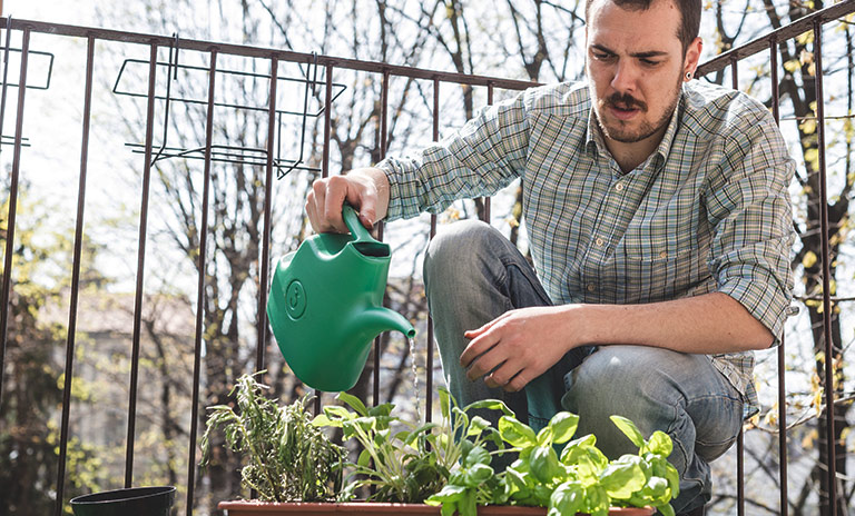 plantar especias en casa requiere dedicación