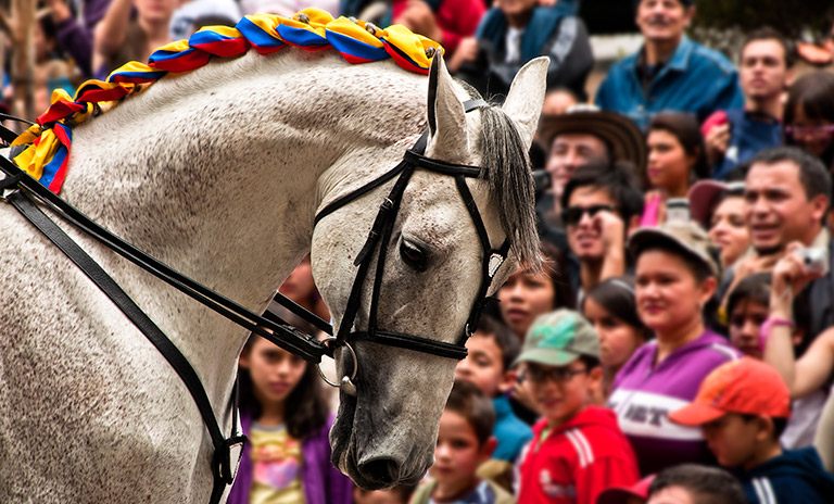 Desfile en celebración del día de la independencia colombiana