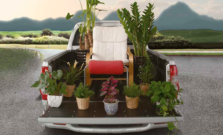 Jardin en camionetas pickup viejas