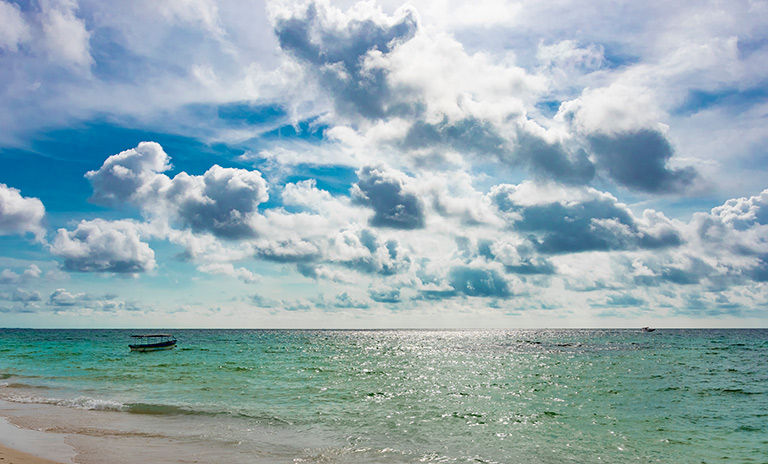 Viajar a la playa en carro a Isla Barú