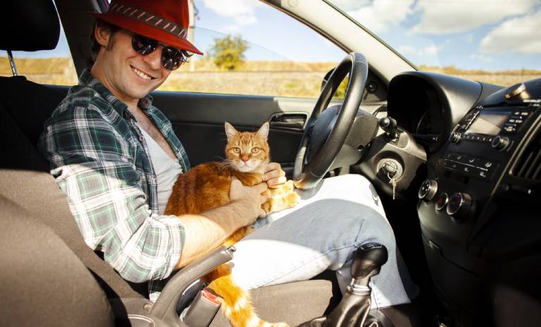 Hombre sentado en su carro con su gato en piernas